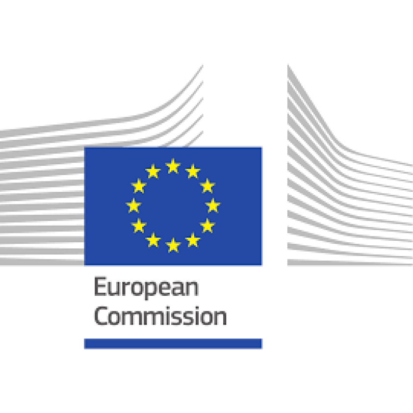 Commission Representation in Georgia